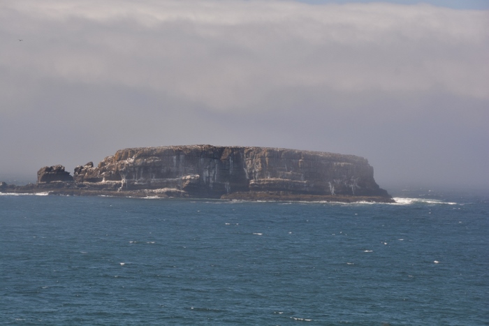 Oregon's rugged coastline